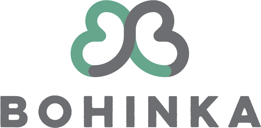 bohinka manj 500