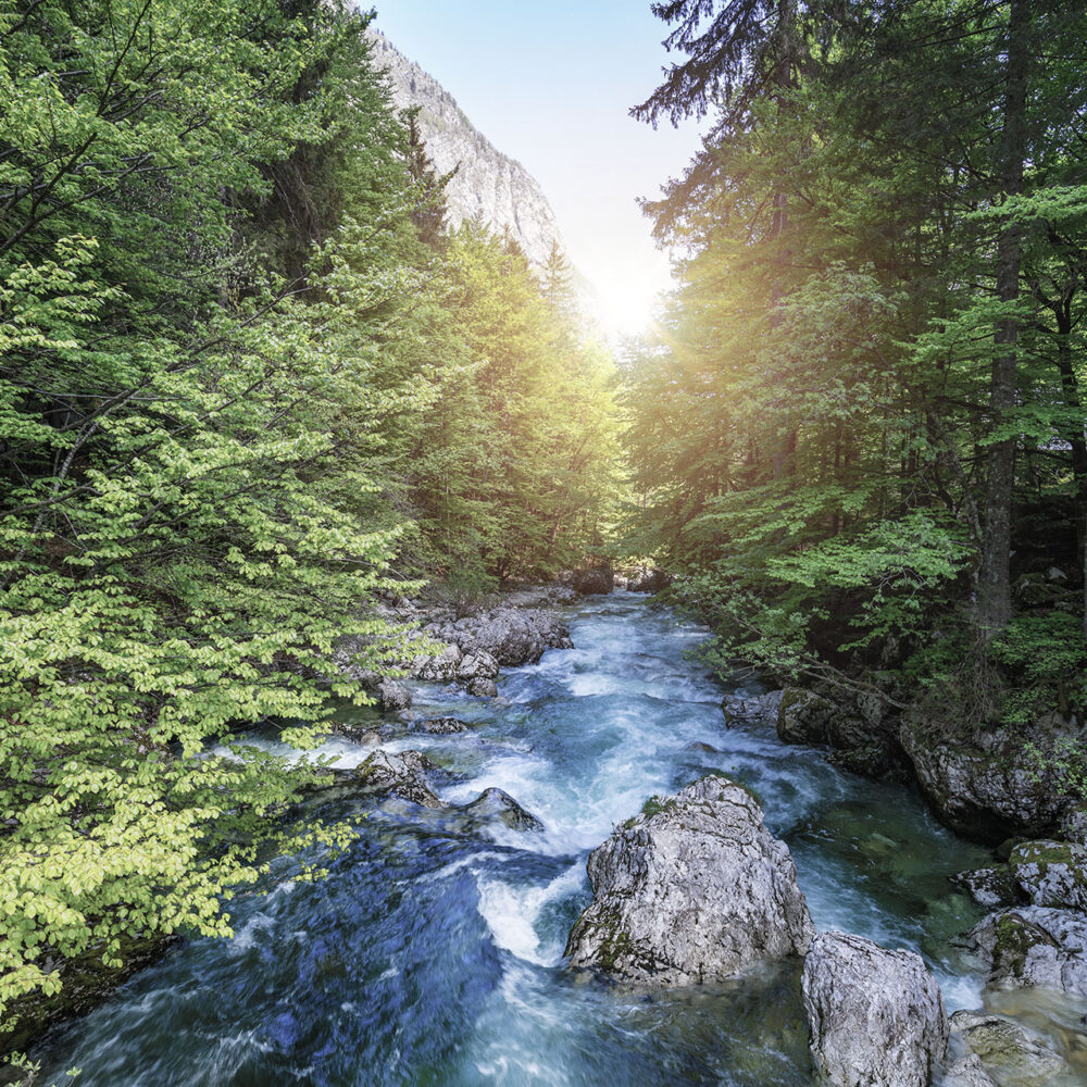 Julian Alps sava bohinjka cycle trail shutterstock
