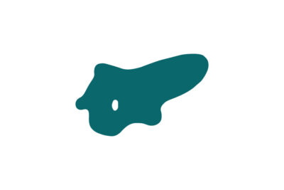 bled lake silhouette petrol green