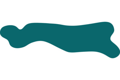 bohinj lake form petrol green