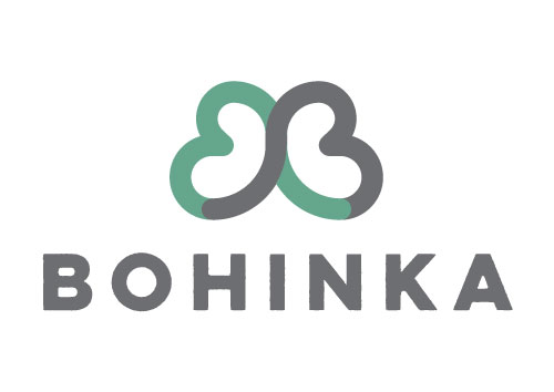 bohinka manj 500